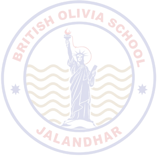 School Crest Watermark